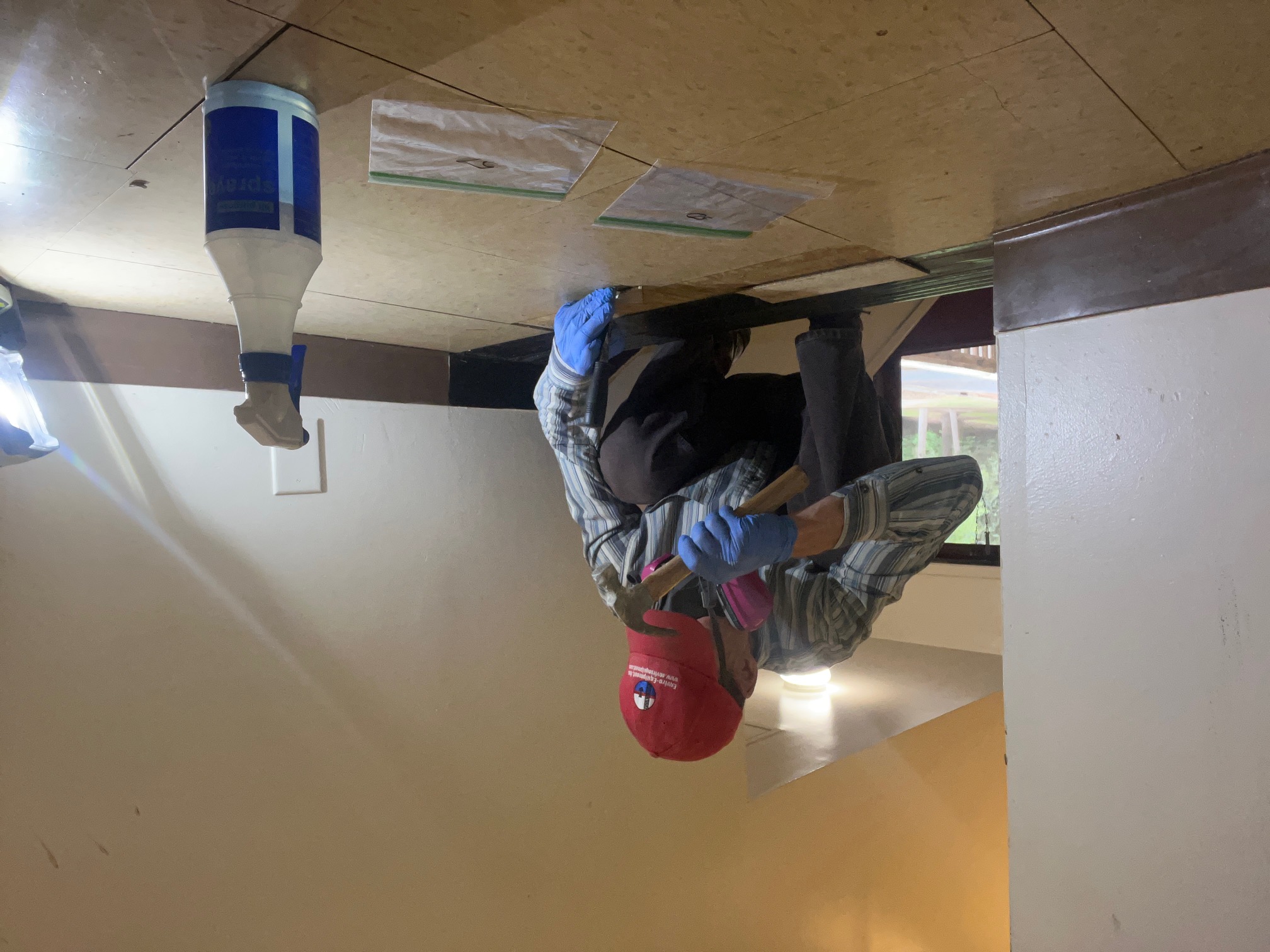 Environmental inspector examining building structure