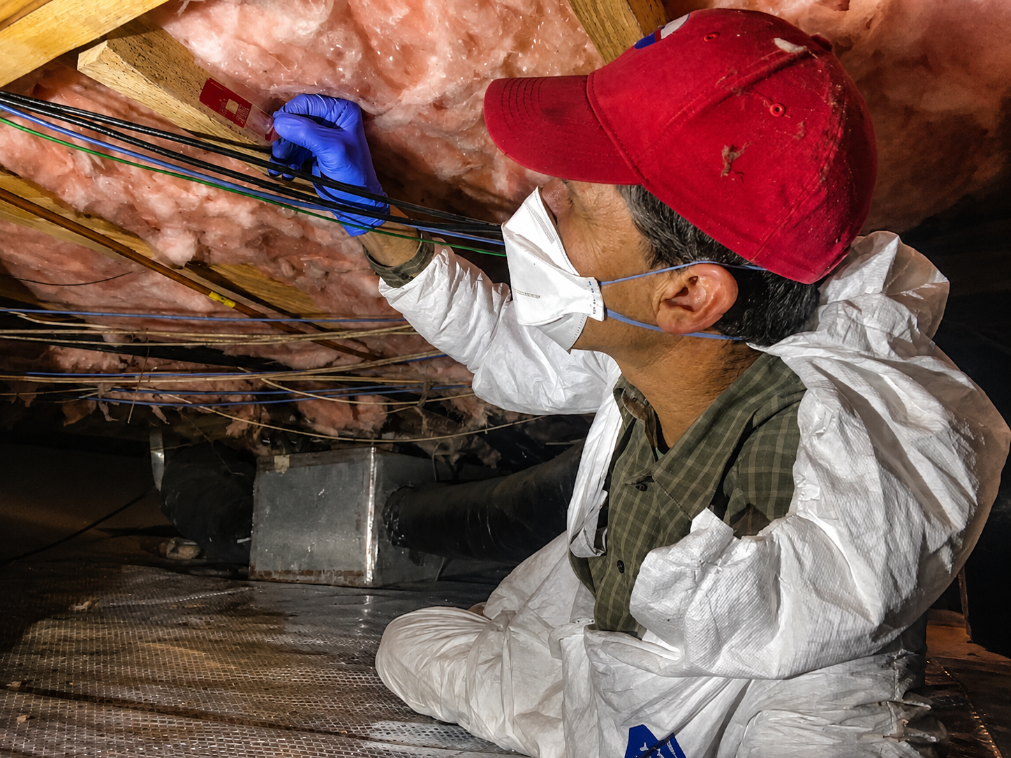 Environmental professional inspecting building insulation