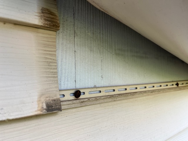 Asbestos survey and inspection
