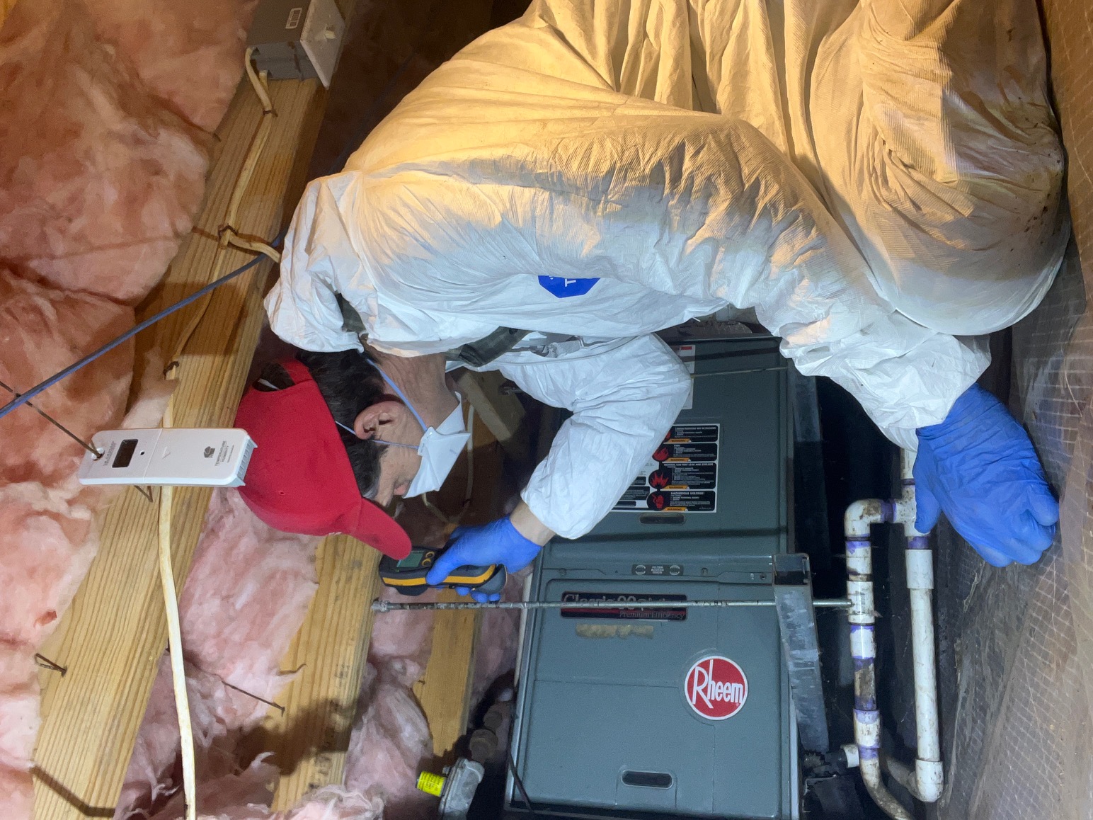 Mold and moisture assessment
