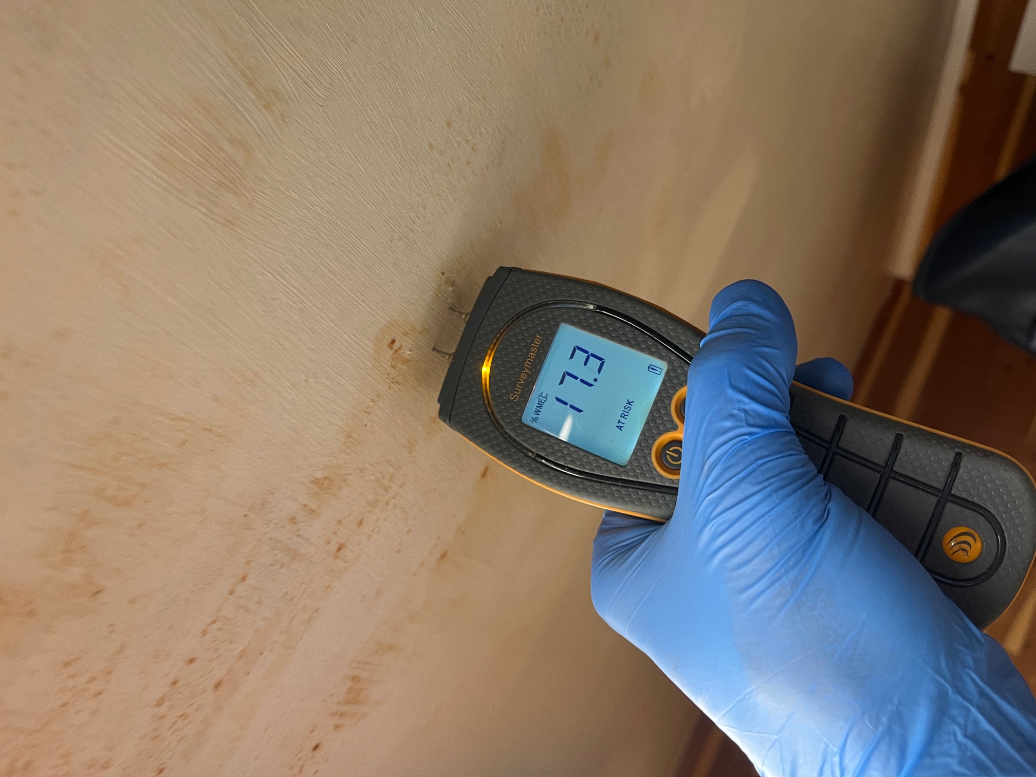 Mold and moisture assessment in progress
